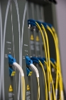 Intune Networks Expands Interface Options for iVX8000 Distributed Optical Switch