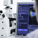 Carl Zeiss Announce Expansion to Zen Imaging Software for Light Microscopes