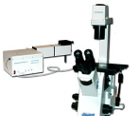 OBB Corp Launch New DeltaRAM-X Illuminator for Fluorescence Microscopy