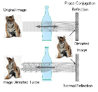 New Technique to View Hidden Objects by Controlling Light Scattering Using Holography