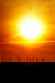 Wal-Mart Begins Distribution of Solar Battery Chargers