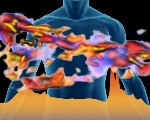 Researchers Develop Fourier Transform Infrared Spectro-Microtomography