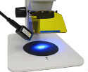 NIGHTSEA Makes Stereo Fluorescence Microscopy Accessible for Research and Education