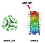 Laser Light May Hold Hope for Alzheimer’s, Parkinson’s and Creutzfeldt-Jakob Diseases