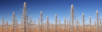 International SKA Office Commences Award of Contracts for World’s Largest Radio Telescope