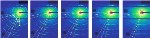 SAXS Imaging Reveals Response of Arapaima Fish Scales to Applied Stresses