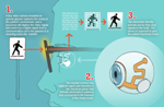 Researchers Develop Adjustable Retinal Implant