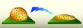 Paving the Way for Nanofluids in Cameras and Displays