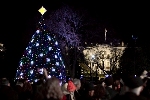 The National Christmas Tree in Washington to Feature GE’s Energy Smart® Sugar Plum LED Lighting