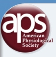 Researchers Employ Optical Coherence Tomography to Study Embryo Exposure to Alcohol