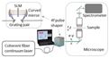 Coherent Anti-Stokes Raman Scattering Microscopy as an Alternative to Histopathy for Diagnostics