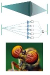 Princeton Awards IP Accelerator Fund to Four Optics Technologies