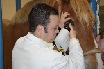 Corneal Confocal Microscopy Enables Noninvasive Examination of Horse’s Eyes