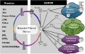 With Integrated Optical Service, Life Becomes Simpler