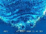 New Art Exhibit at VCU Features Microscopic Images