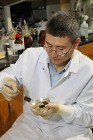 Researcher Develops 3nm Long Bipolar Magnetic Chromophores