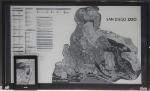 E Ink Announces New 32" Single Display ePaper Module