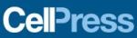Researchers Employ Laser Optical Tweezers to Study Red Blood Cell Invasion