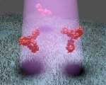 Innovative Optical Method Makes Individual Proteins Visible