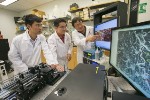 Optical Coherence Doppler Tomography Helps Measure How Cocaine Disrupts Brain Blood Flow