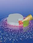 Terahertz Absorption Spectroscopy and Molecular Dynamics Simulations Help Study Solvated Biomolecules