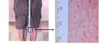 Duke Researchers Develop Gigapixel Whole-Body Photographic Camera