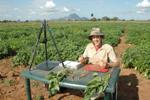 New Automated Imaging Technique to Evaluate Root Systems of Plants in Field Conditions