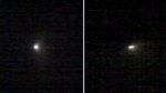 Compact Imaging Spectrometer for Mars Observes Comet Siding Spring