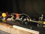Laser Biospeckle Technique Can Help Detect When to Harvest Climacteric Fruits