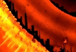 Fifth Annual Cool Science Image Contest Solicits the Best Images