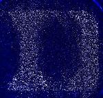 Light to Activate Genes Can Help Better Study Genes' Functions