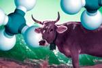 Tunable Infrared Laser Direct Absorption Spectroscopy Identifies Methane’s Origins