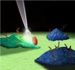 Optical Radiation for Early Cancer Detection