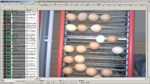 EyeVision Filters Enable Accurate Counting of Eggs