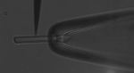 Tapered Optical Fibers Deliver Highly Confined Spots of Light to Study Retinal Cell Activity