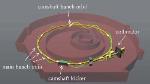 Berkeley Lab Offers ‘On-Demand’ X-Rays