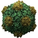 Researchers Analyze Intact Virus Particles Using Matrix-Assisted Laser Desorption Ionization Mass Spectrometer
