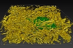 X-ray Imaging of Rocks Could Save Historical Books from Ravages of Time and Fungi
