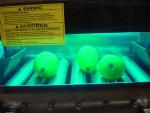 UVC Light Effective Against Foodborne Pathogens on Surface of Fruits
