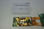 EverDisplay Optronics Launches 6-inch 4K AMOLED Display