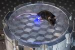 New Method to Deliver Wireless Power for Optogenetics
