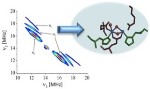 Novel 2D HYSCORE Spectroscopy Method Helps Capture Photosynthesis Reactions