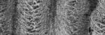 Femtosecond-Laser Ablation Could Help Increase Efficiency of THz Emission GaAs-Based Devices