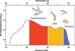 Ultrasensitive Molecular Detector from Unique Broadband and Coherent Infrared Light Source