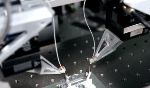 PI Demonstrates Simultaneous Testing of Optical Components in Silicon Photonics