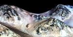 MRO HiRISE Returns Spectral Signatures of Hydrated Salts on Mars