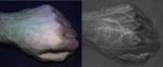 Hyperspectral Camera ‘Sees’ Underneath Surfaces Using Visible and Invisible Near-Infrared Light