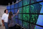 New Software Creates 3-D Map of the Brain
