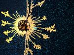 Photo Competition Reveals Engineering as an Incredibly Diverse and Beautiful Field