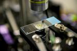 Researchers Successfully Refrigerate Liquids Using Infrared Laser